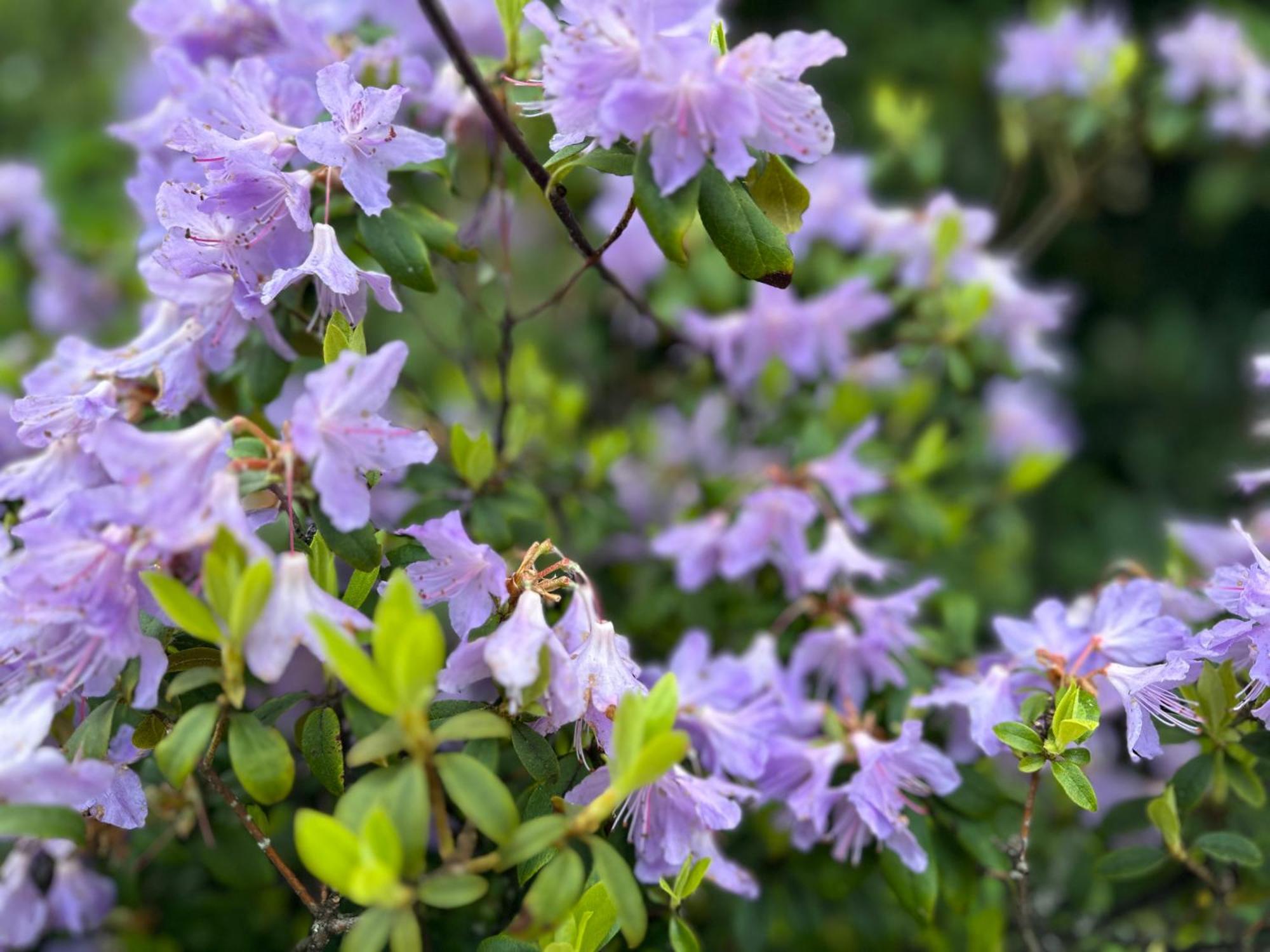 לינה וארוחת בוקר אינברורי Awakening Alchemy Retreat Centre מראה חיצוני תמונה