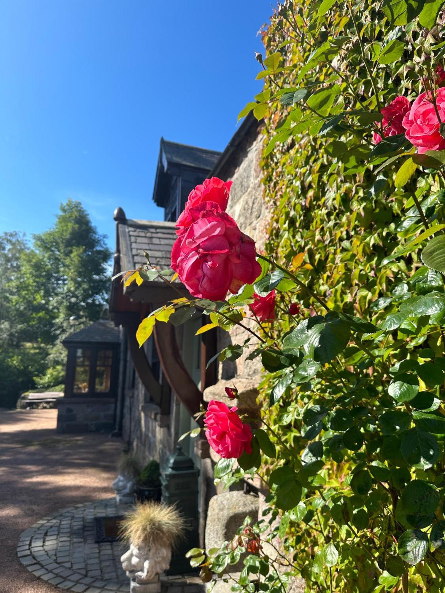 לינה וארוחת בוקר אינברורי Awakening Alchemy Retreat Centre מראה חיצוני תמונה