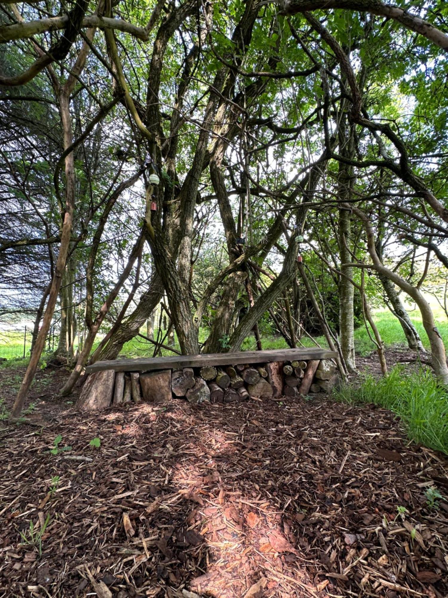 לינה וארוחת בוקר אינברורי Awakening Alchemy Retreat Centre מראה חיצוני תמונה