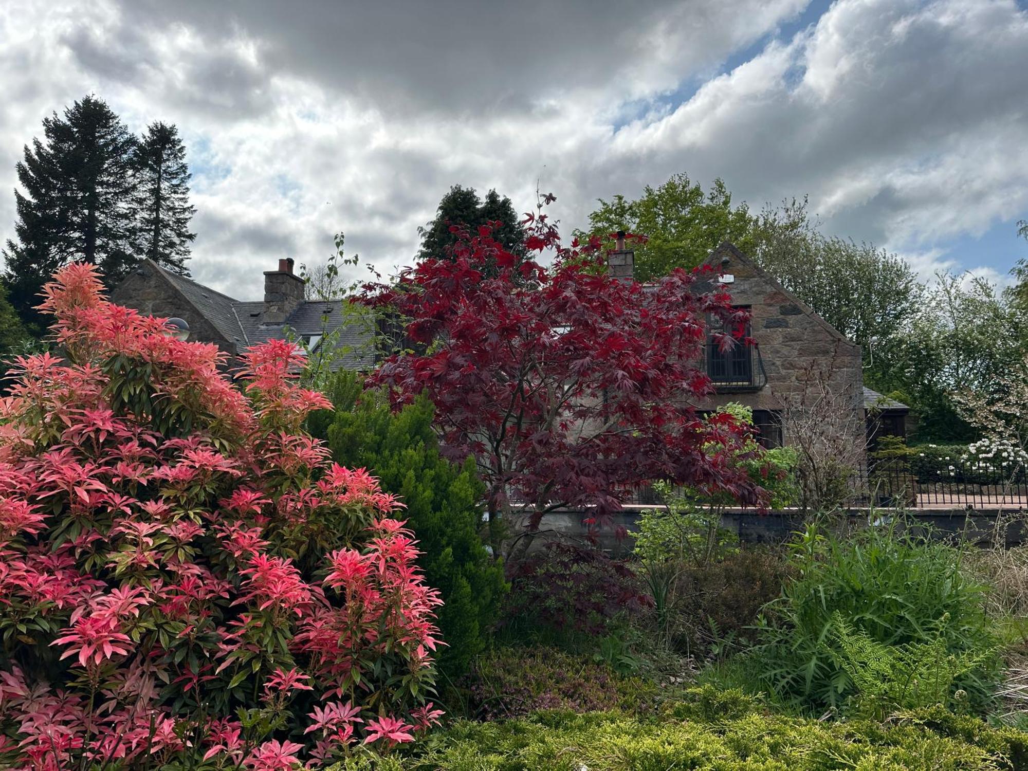לינה וארוחת בוקר אינברורי Awakening Alchemy Retreat Centre מראה חיצוני תמונה